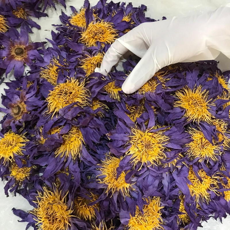 Ceylon Blue Lotus Nymphaea Caerulea 100% Organic Hand Pick Dried Flowers Tea gallery