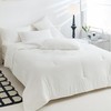 Ultra-Soft White Queen Comforter Set - 3 Pieces Queen/Full (92"x88") Snow White gallery