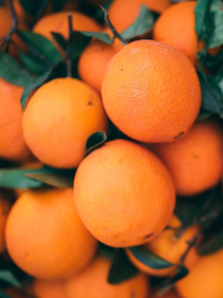 23 Sweet Orange Tree Seeds gallery