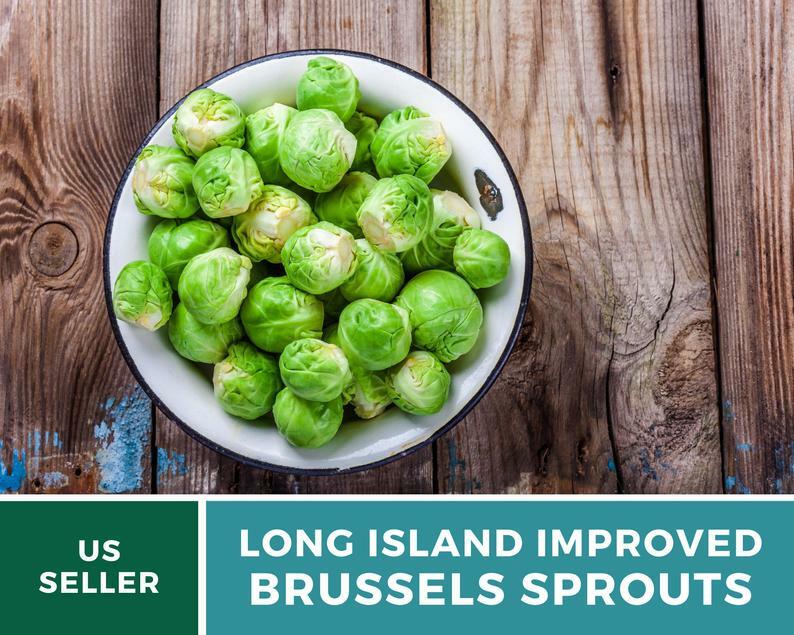 Brussels Sprouts, Long Island Improved - 150 Seeds - Heirloom - GMO Free gallery