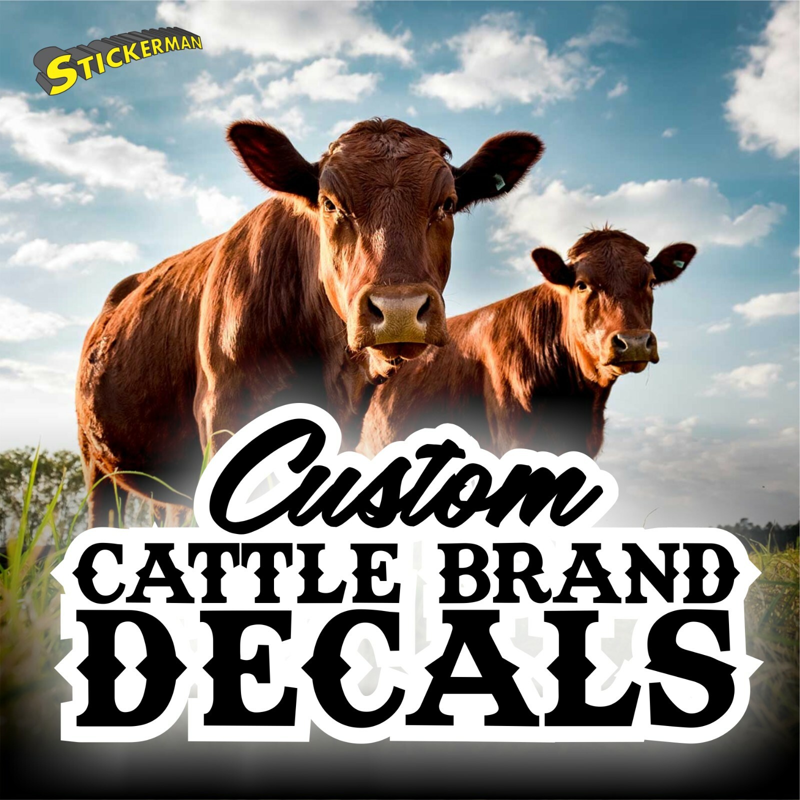 Custom Farm Cattle Brand Vinyl Decal Sticker gallery