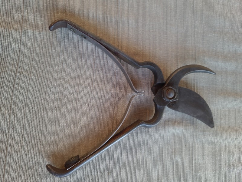 Antique True Temper Stiletto Pruning Shears Gardening Hand Tool gallery