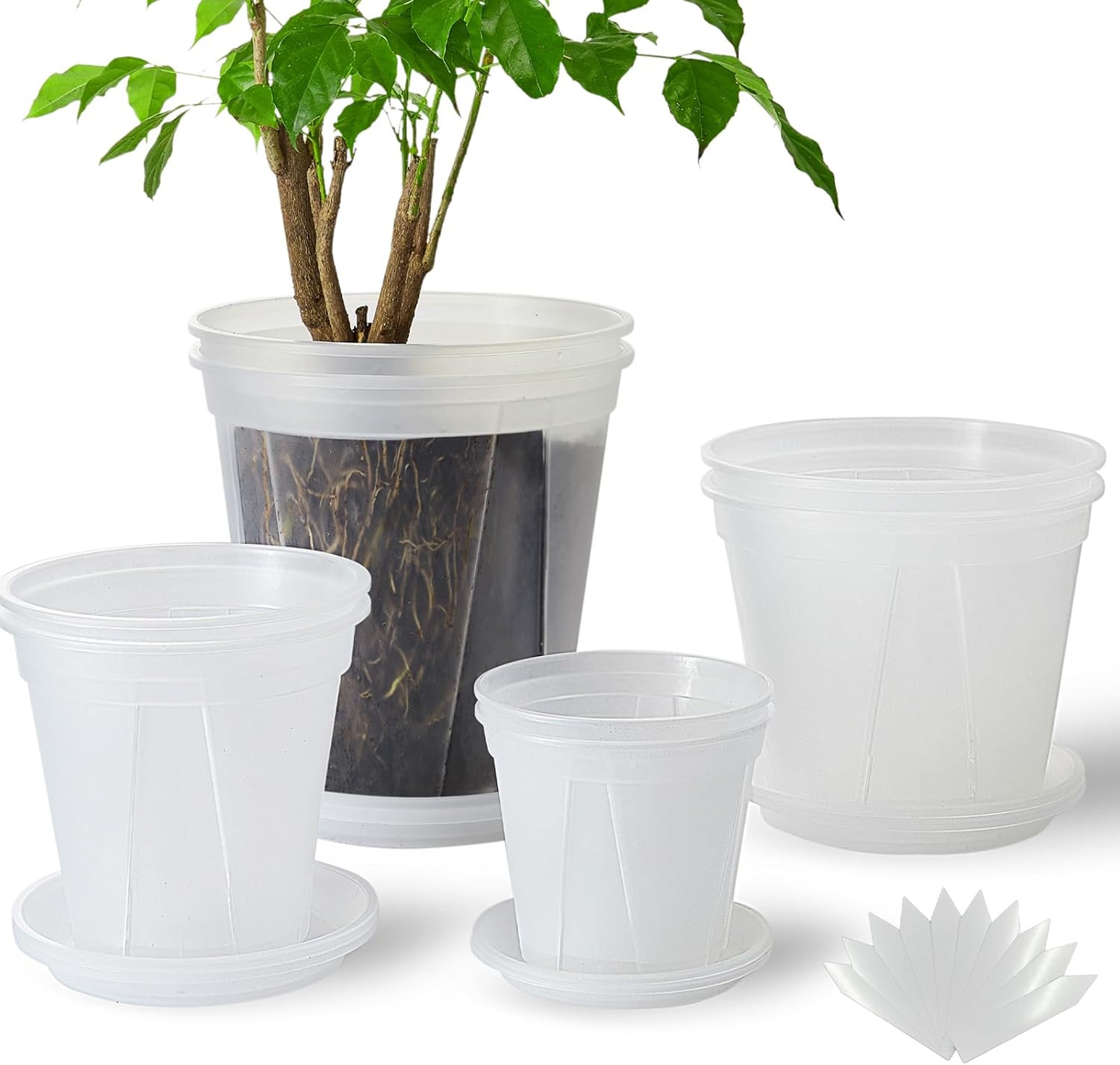 8 Pcs 5/6/7/8 Inch Large Clear Nursery Pots for Plants with Saucers,Thick Plasti gallery