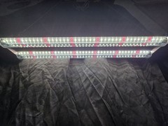 DYMOND BoostGro LED Grow Light Full Spectrum Linkable 5000K Daylight + 660nm 2’