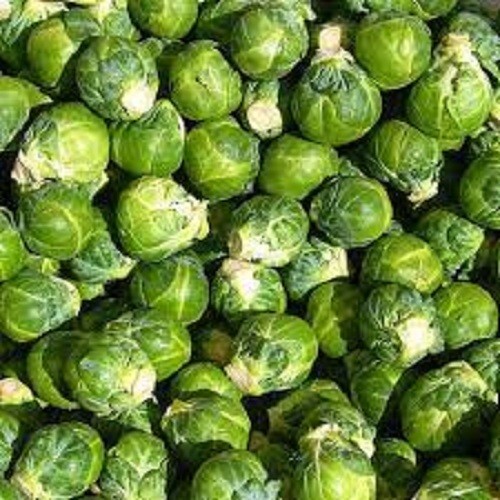 Premium Long Island Improved Brussel Sprouts - Fresh Organic Seed Buy any 3, 20% gallery