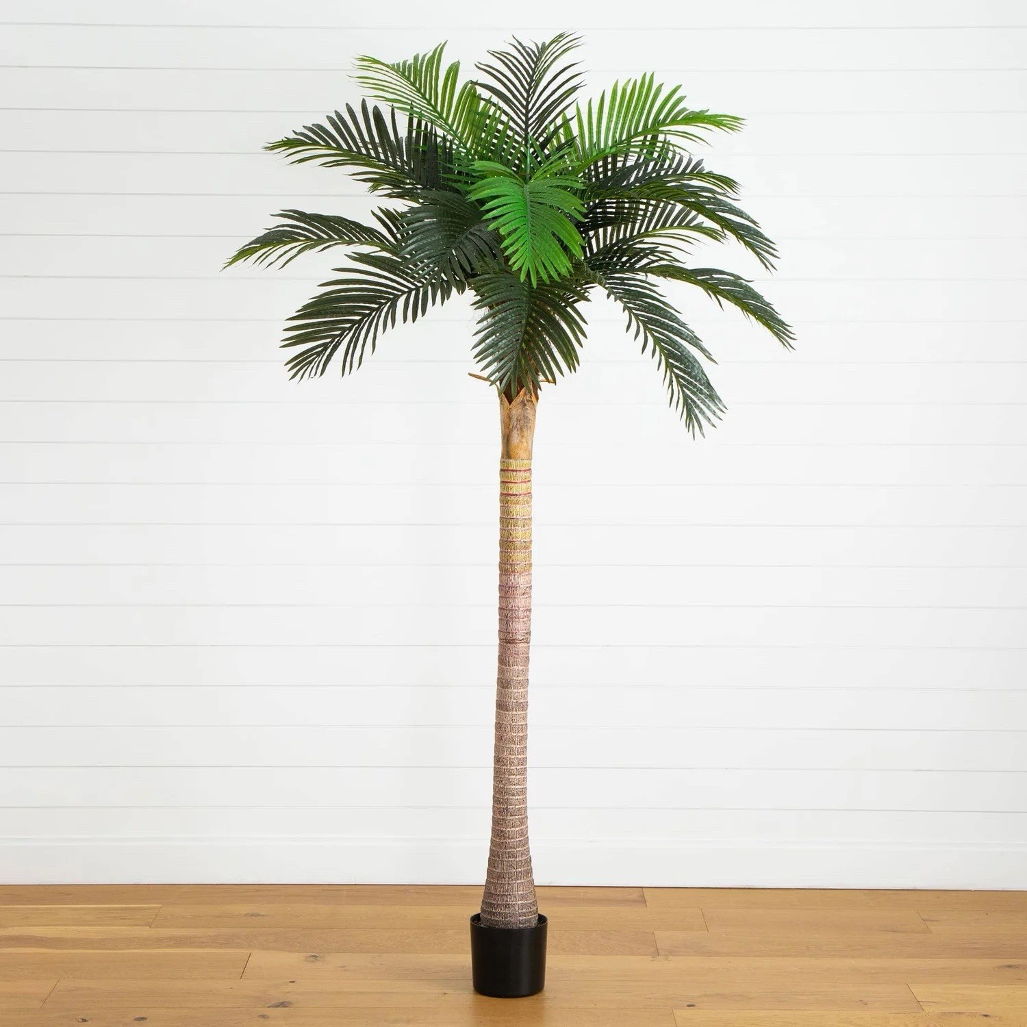 8’ Artificial Coconut Palm Tree. Retail $259 gallery