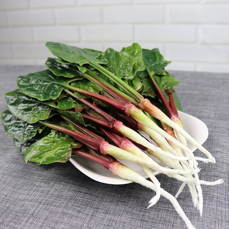 Decorative Spinach Piece for Spring Summer Fall Winter Interior Accents gallery