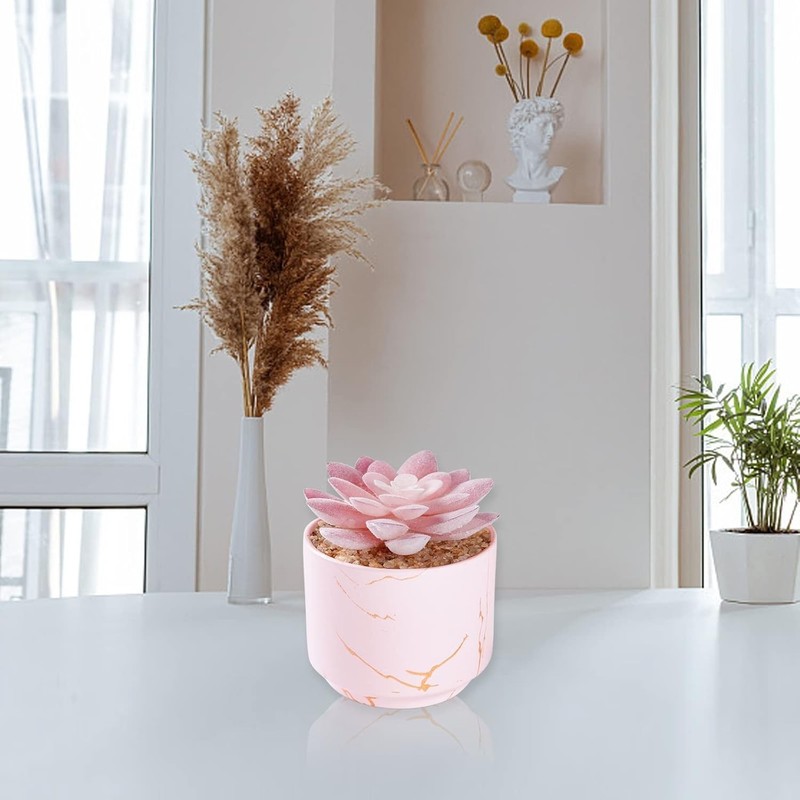 Charming Artificial Pink Succulent in Ceramic Pot - Cute Décor for All Rooms gallery