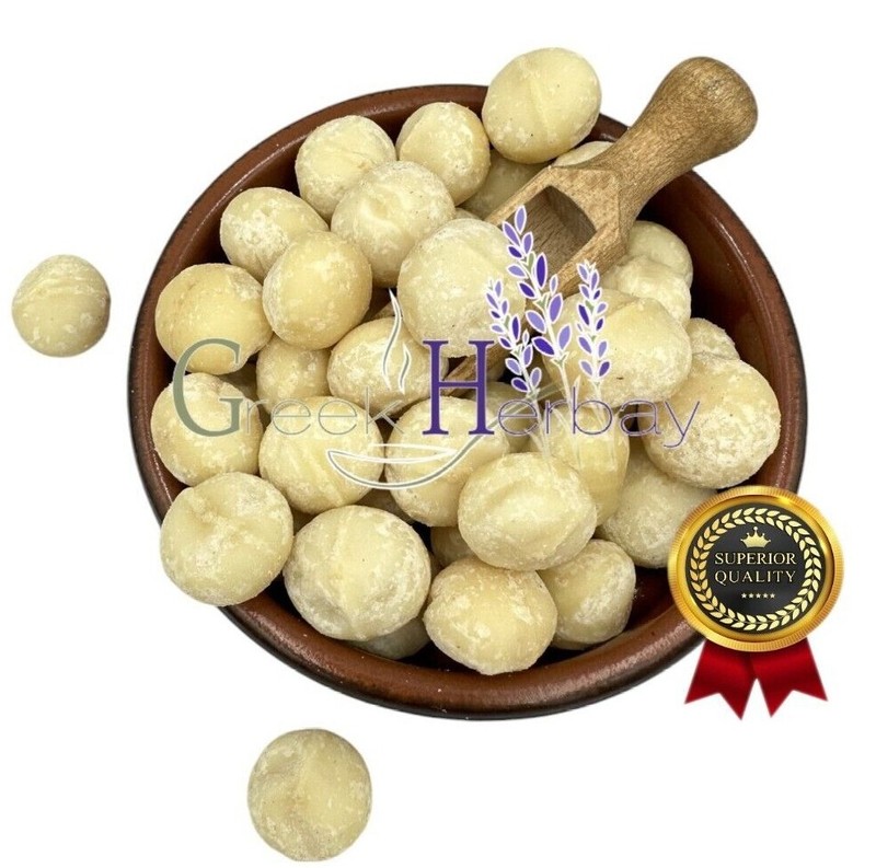 Raw Macadamia Dried Nuts - Macadamia Metraphylla 25g-4,9kg gallery
