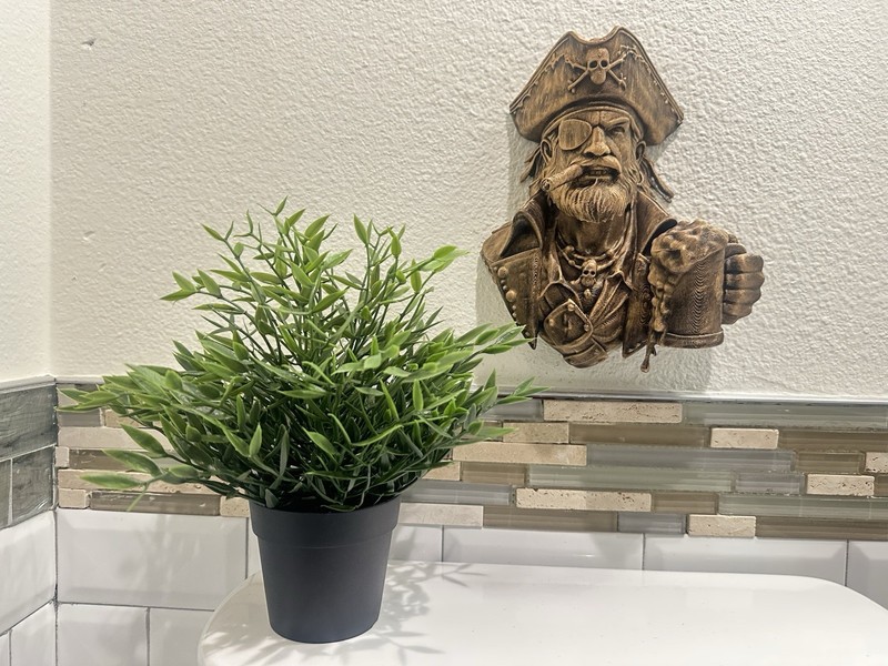 Pirate Wall Mount Skull Decor Gothic Buccaneer Nautical Bar Art Man Cave Painted gallery