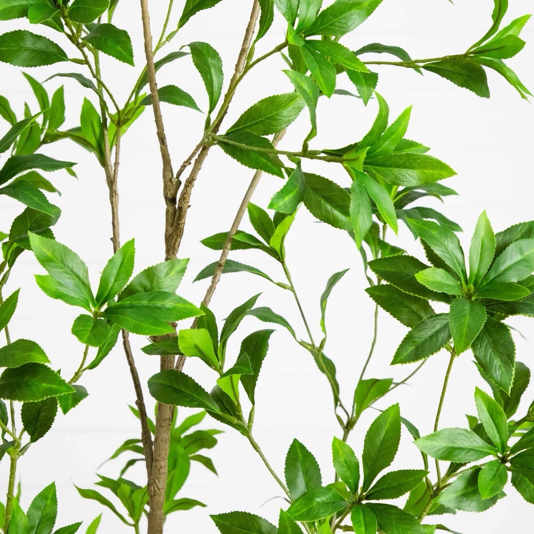 6' Artificial Minimalist Japanese Pieris Tree gallery
