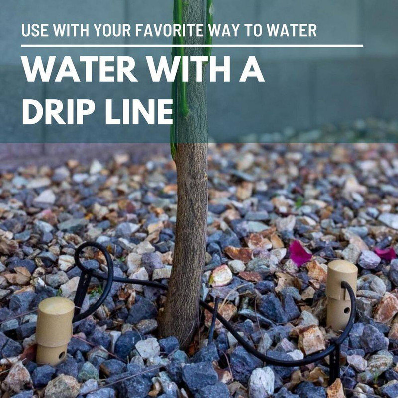 14 In. Watering Stake (3-Pack) gallery