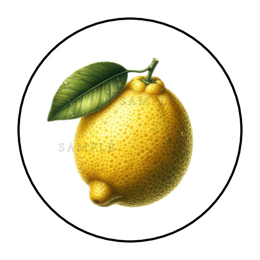 Lemon Fruit stickers labels tags envelope seals party favors gallery