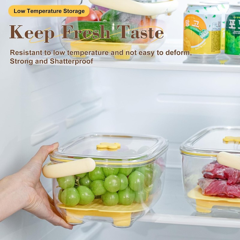 Fruit and Vegetable Storage Container with ice Pack, Fruit Vegetable Fresh Box gallery