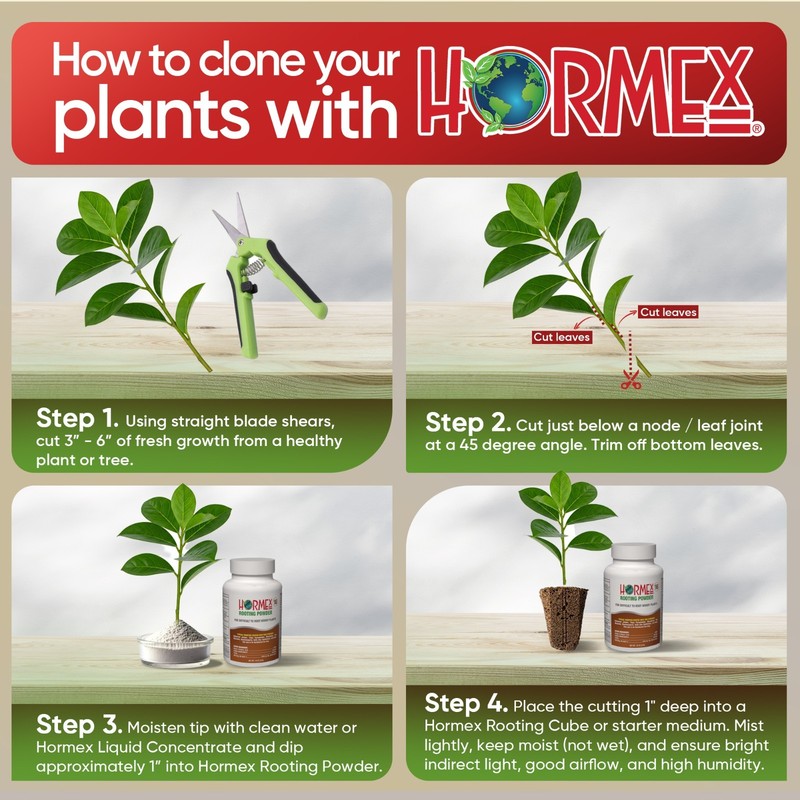 Hormex Rooting Powder #16 - for Difficult to Root Woody Plants - 1.6% IBA gallery