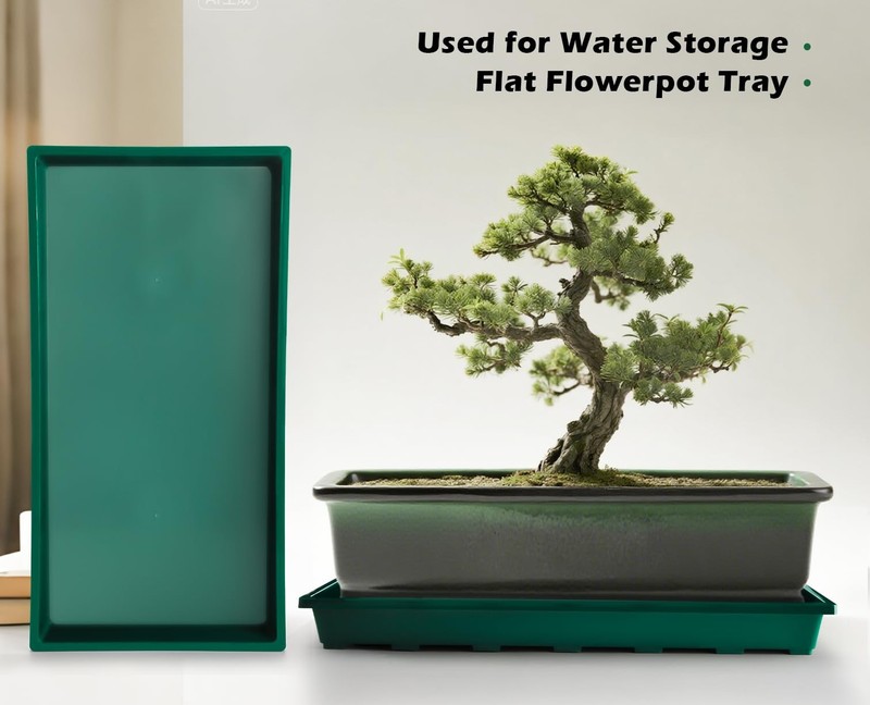 Seed Starter Trays 5 Pack - Durable Plastic Nursery Pots for Seedlings gallery
