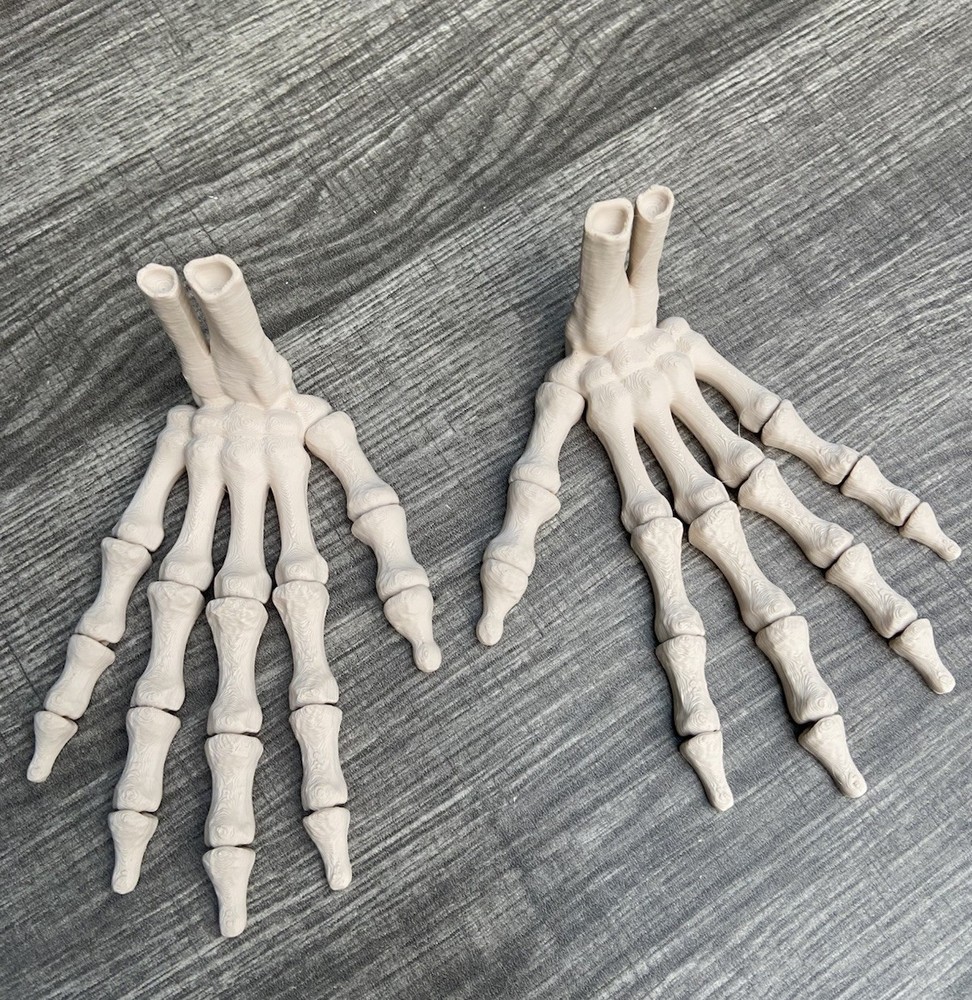 2 Articulated Skeleton Hands Realistic Color Halloween Decor
