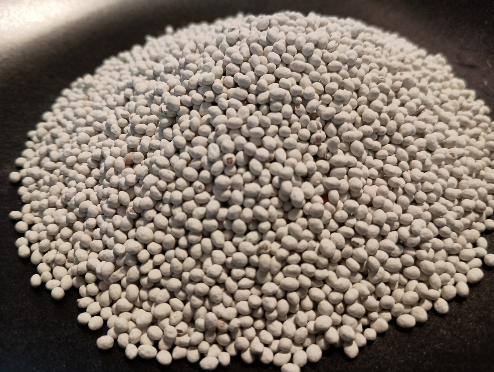Crimson Clover Cover Crop Seeds For Planting - NON-GMO - Heirloom - Inoculated gallery