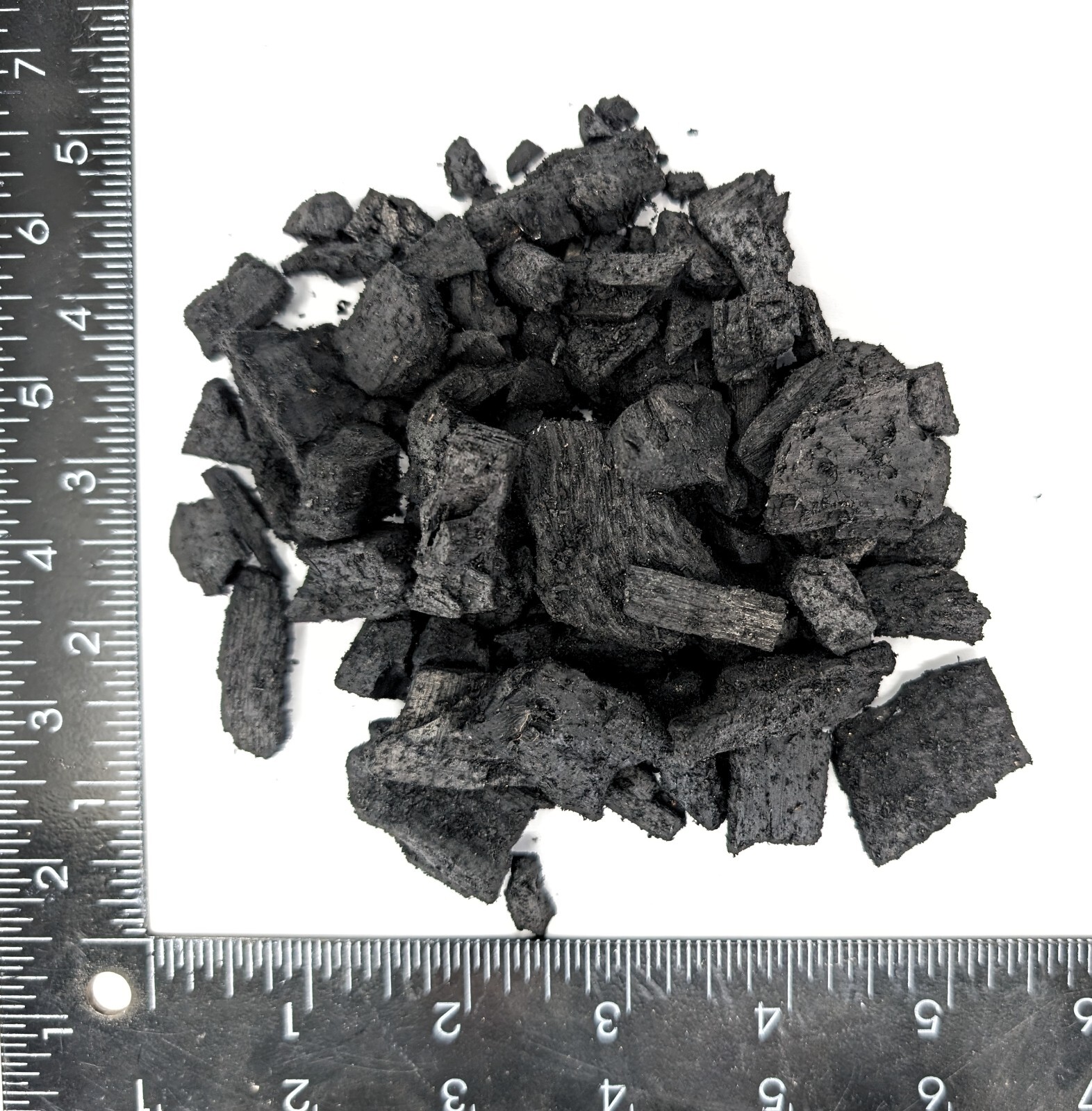 P2 1/2" Horticultural Charcoal - FAST SHIPPING - many sizes! - Organic terrarium gallery