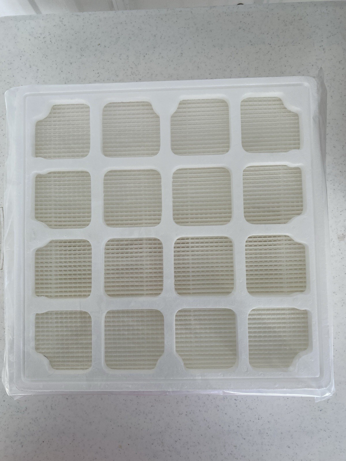 PRE FILTER F8 (S) HEPA Replacement Filter for Health Pro Series Air Purifier gallery