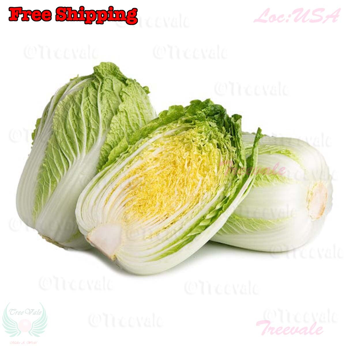 Napa cabbage, Kimchi cabbage, Chinese Cabbage, Dàbáicài seeds | Non-GMO, Organic gallery