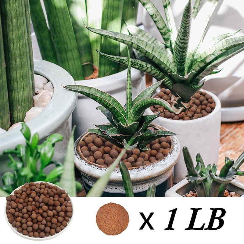 Plant expanded clay pebbles, suitable for indoor, outdoor and hydroponic growth gallery