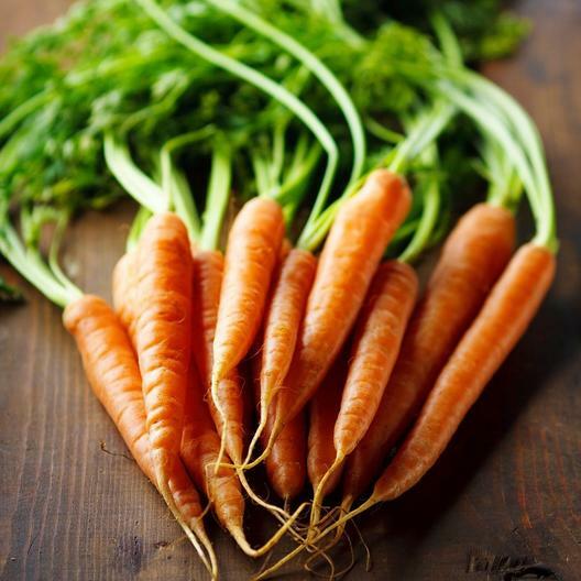 2,000 Imperator Carrot Seeds Vegetable Heirloom NON-GMO FREE SHIPPING gallery