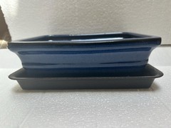 8″ Rectangular Navy Blue Bonsai/Succulent Pot + Tray