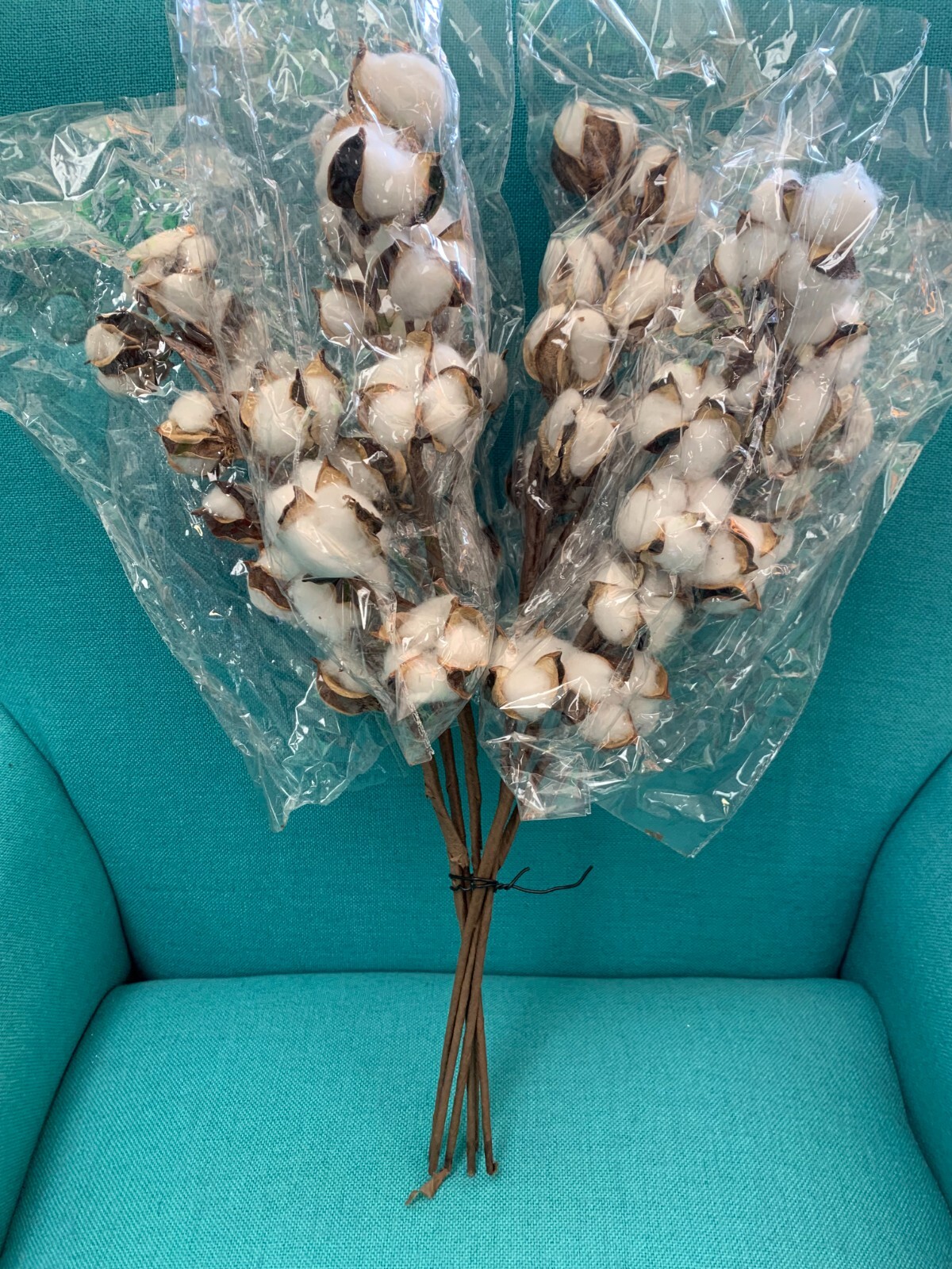 60 Stem - Cotton Stems Natural Dried Flower gallery