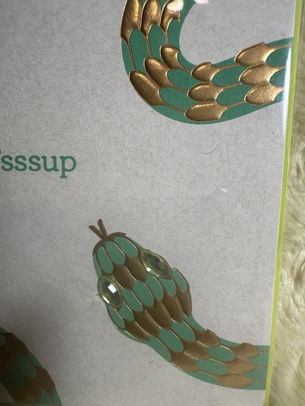 Papyrus Bird & Quill BLANK ALL OCCASIONS Card Embossed Snake Jewels 'sssup gallery