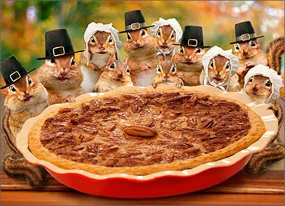 Chipmunks Deliver Pie Funny Thanksgiving Card - Greeting Card by Avanti Press gallery