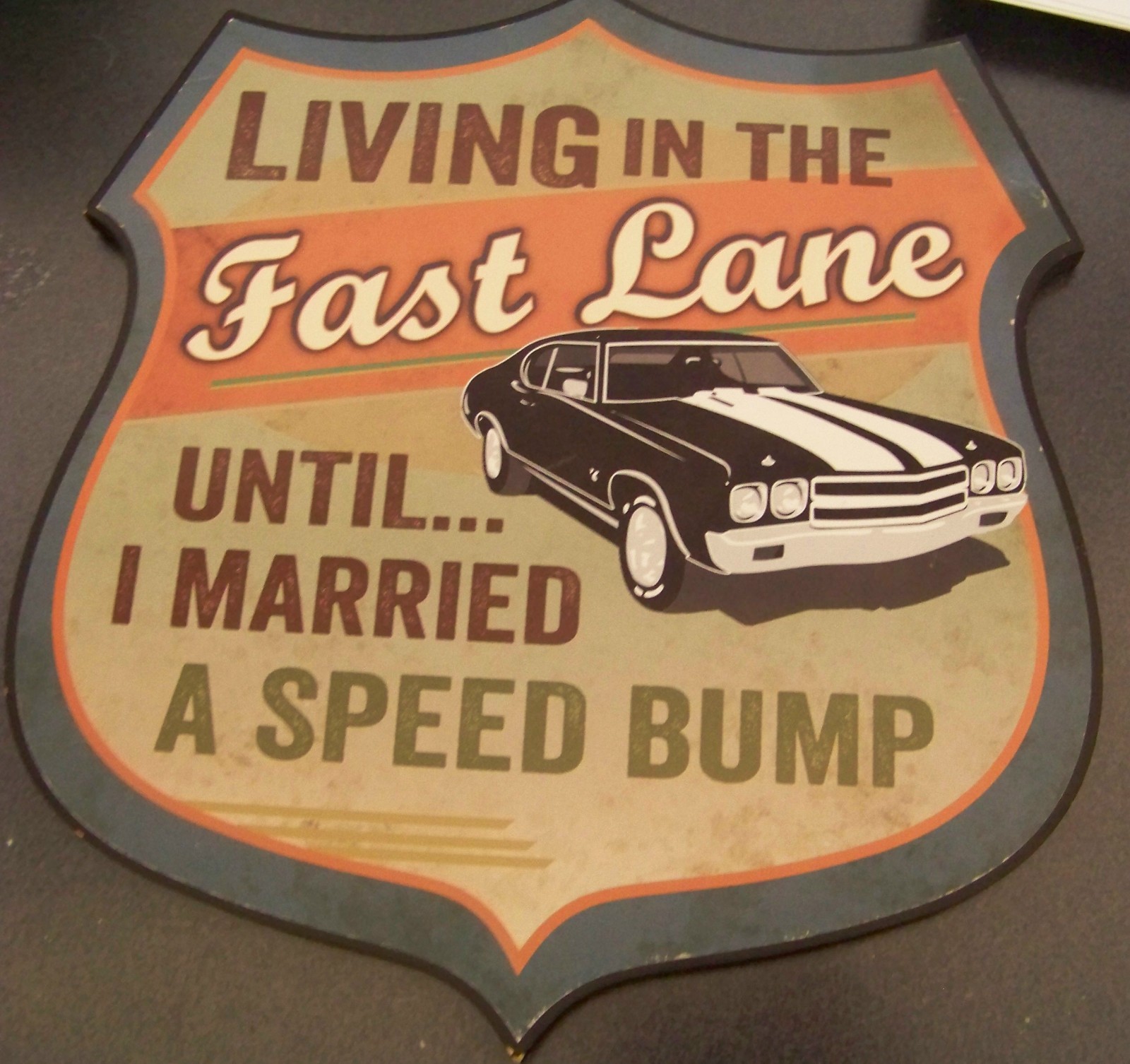 Living in Fast Lane Until Married Speed Bump particle board sign novelty c42922 gallery