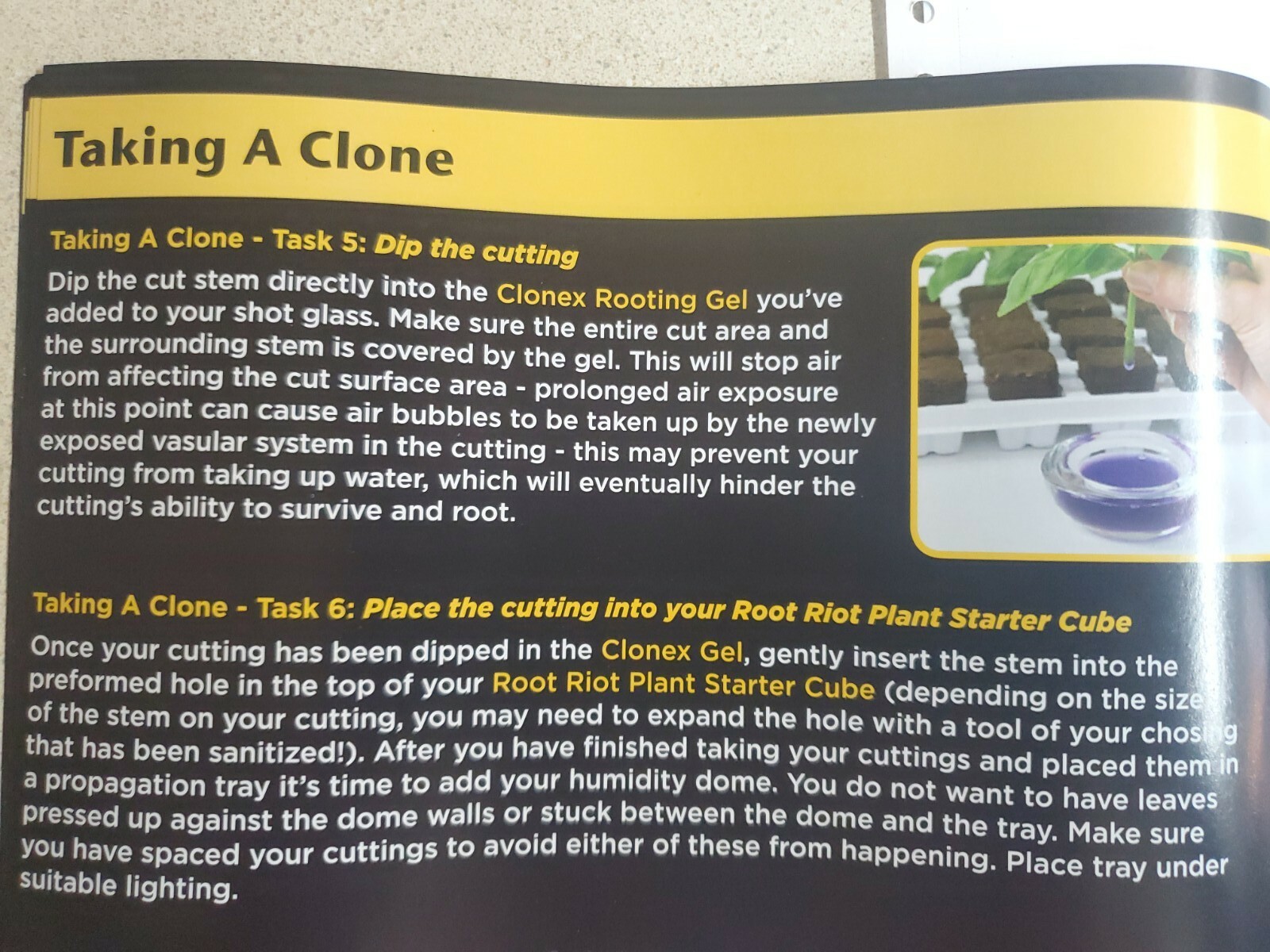 Clonex Gel 100ml Rooting Compound Clone Cutting 100ml. NEW FRESH BATCH gallery