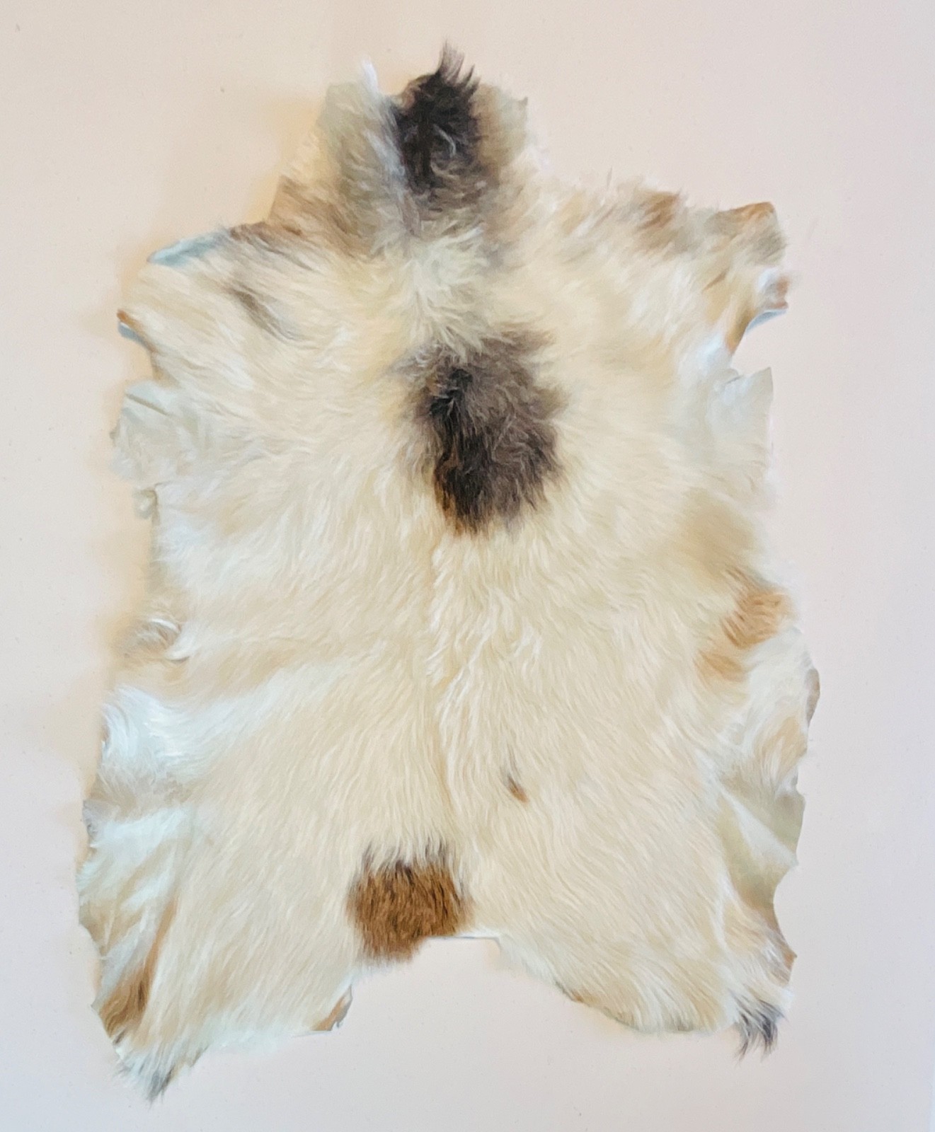Genuine Leather Goat Pelt Hide Rug White with tan & brown spots 24”x21” gallery