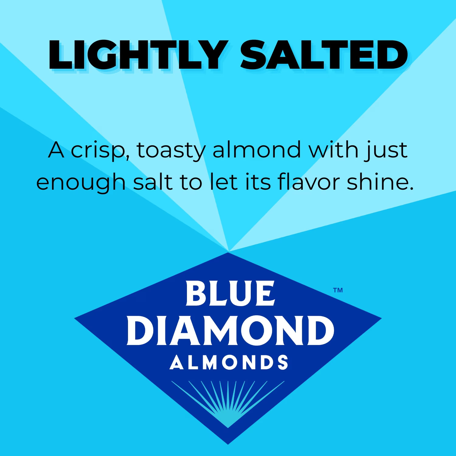 Blue Diamond Almonds, Lightly Salted Low Sodium Snack 14 oz Free Shipping gallery