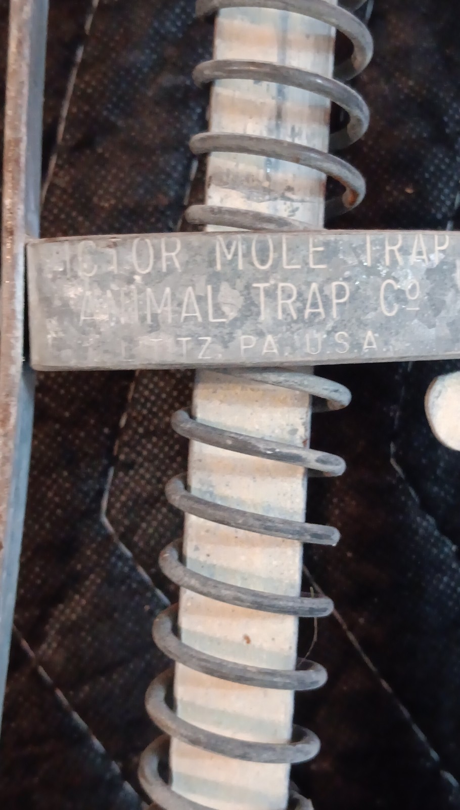 Victor Animal Trap Co. Mole Harpoon Trap Metal Silver Outdoor Trap/Catch gallery