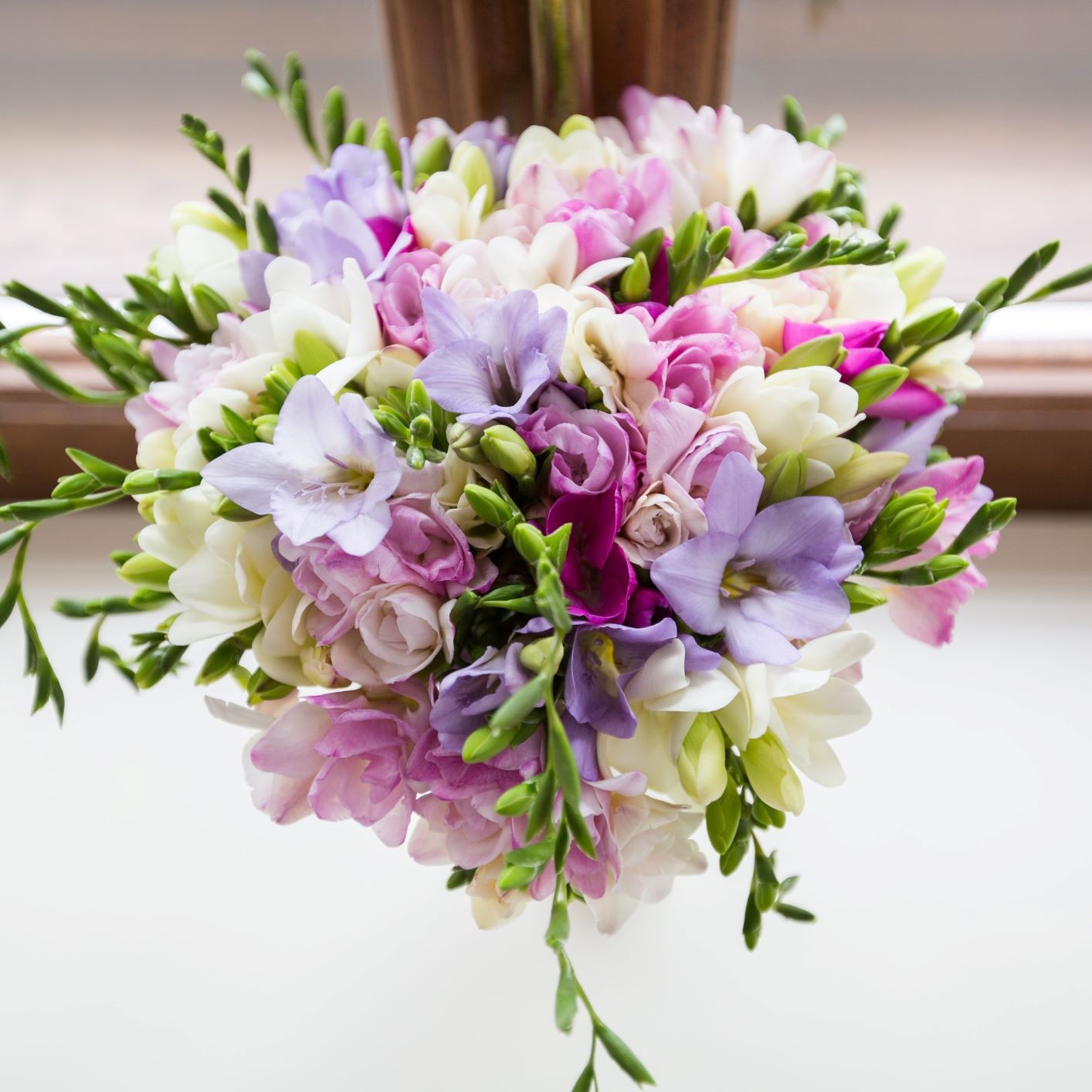 Freesia Berries & Cream Collection 45 Bulbs, Pink Violet & White Spring Flowers gallery
