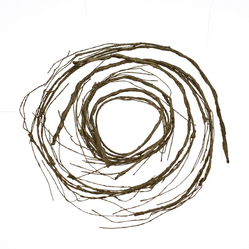 Artificial Curly Willow Branches, Decorative Dry Twigs, 30.7 Inches Sticks gallery