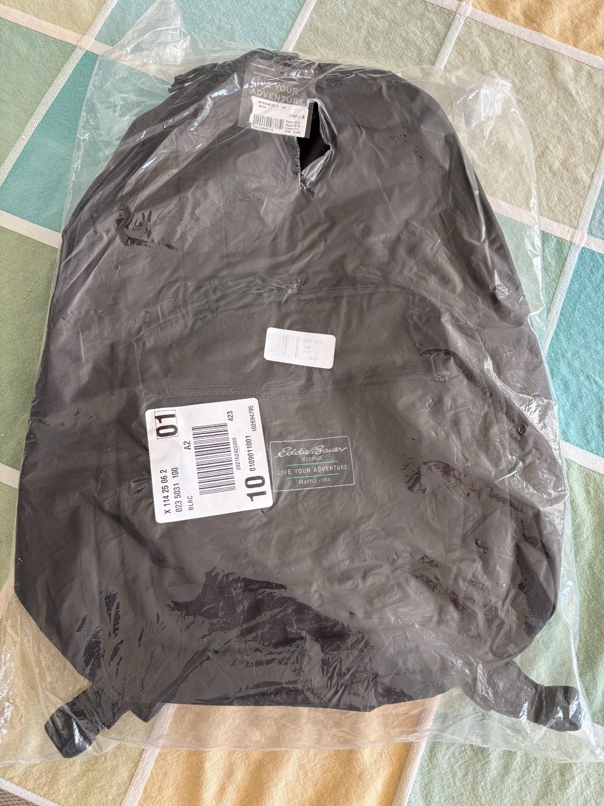 Eddie Bauer Bygone 23L backpack, black