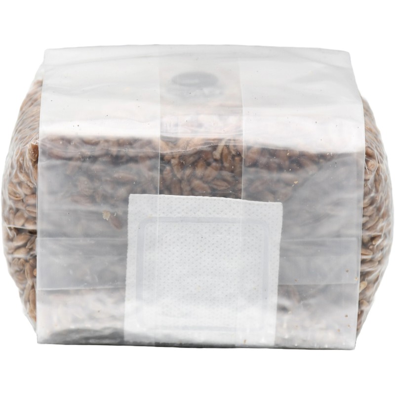 Sterilized Rye Berry Mushroom Substrate With Self Healing Injection Port gallery