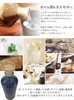 Ion Bottle Radium Bottle Water 800ml (27oz) Vidro Shigaraki Ware F/S NEW gallery