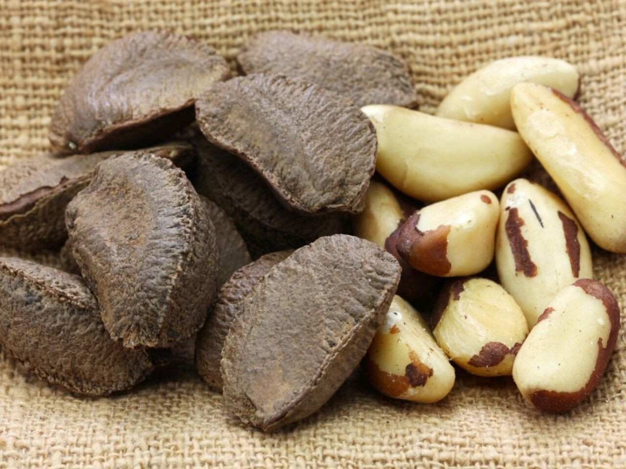Brazil Nut Seeds (15) / ORGANIC / SUPER RARE / DELICIOUS / gallery