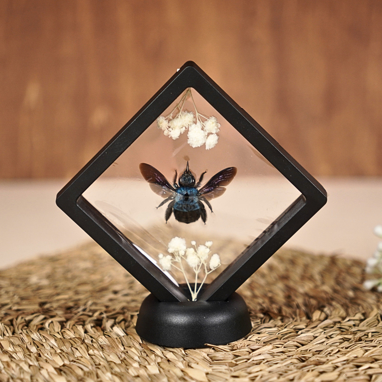 Real Blue Bee Specimen Carpenter Bee Plastic Insect Display Frame Gift For Men gallery