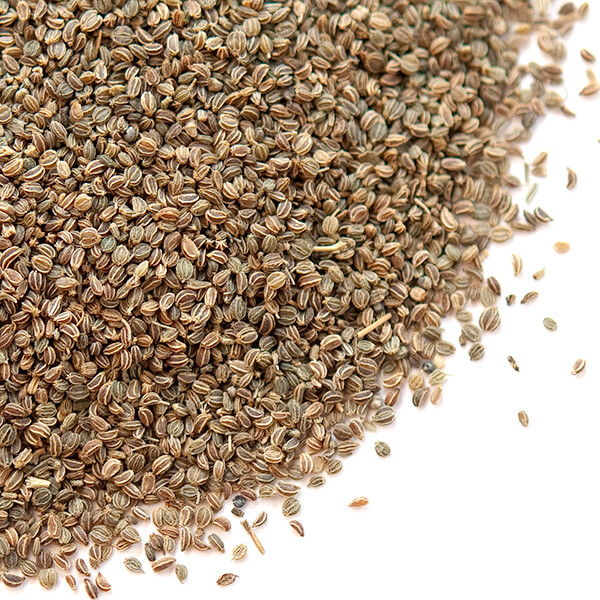 Celery Seed | Bulk | Spice Jungle gallery