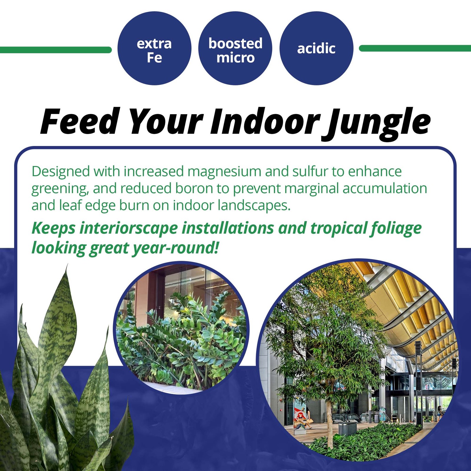 Jack's Professional 21-7-16 Interiorscape Special Water-Soluble Fertilizer, 25lb gallery