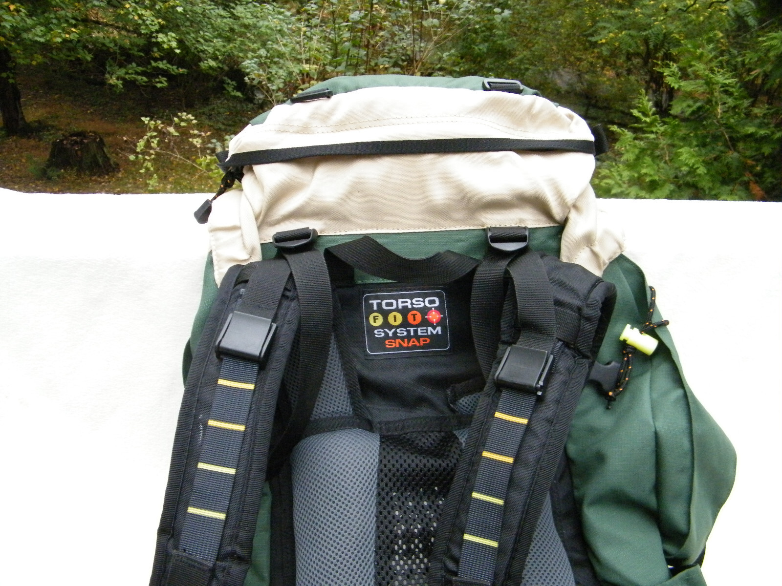 Lowe Alpine Beartooth 45 Green Backpack with Torso Fit 5