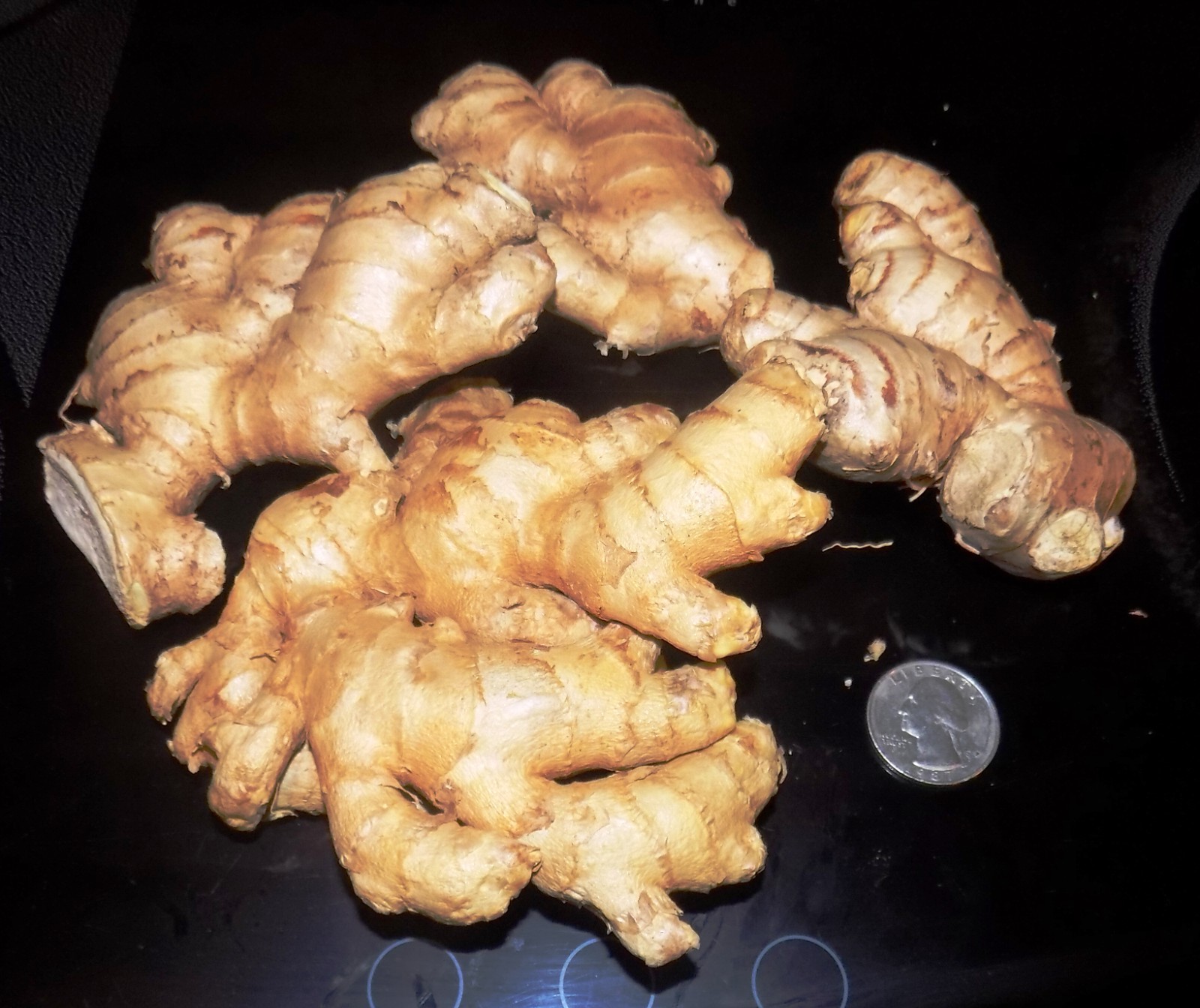 Fresh Organic Ginger Root FREE SHIPPING 1lb to 30lb USA Shipper BEST PRICE on Eb gallery