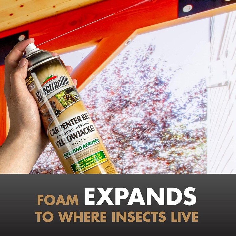 Spectracide Carpenter Bee & Nesting Yellowjacket Killer Spray 16Oz Each gallery