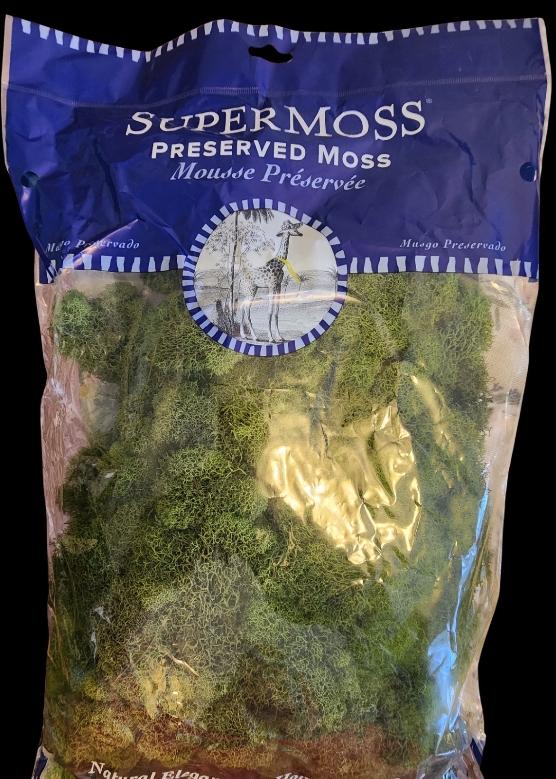 Super Moss Reindeer Moss Preserved, Forest Green gallery