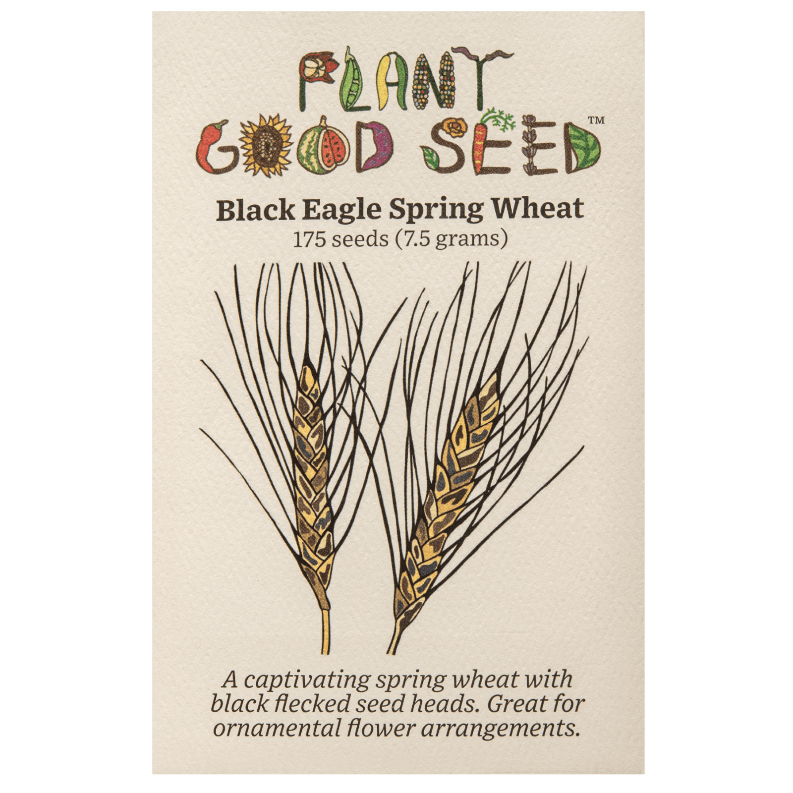 Black Eagle Spring Wheat Seeds: Edible Ornamental Grain Flower Bouquets Heirloom gallery